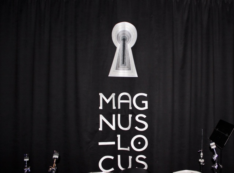 Вышивка металлизированными нитями для ресторана "Magnus locus"